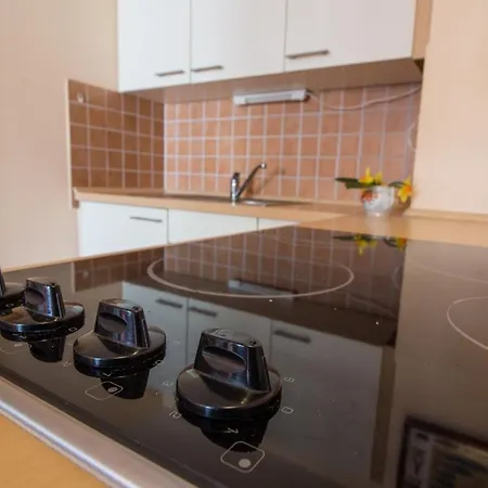Apartment Lauterbach Fuer 4 P *